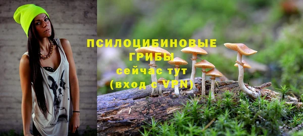герыч Алзамай