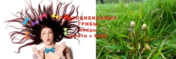 герыч Алзамай